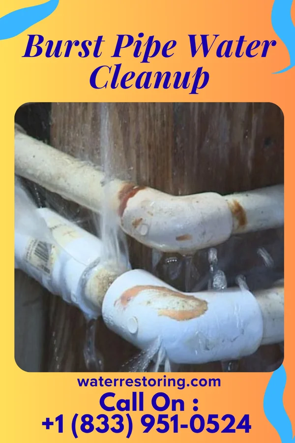 Burst Pipe Water Cleanup in Star City, WV