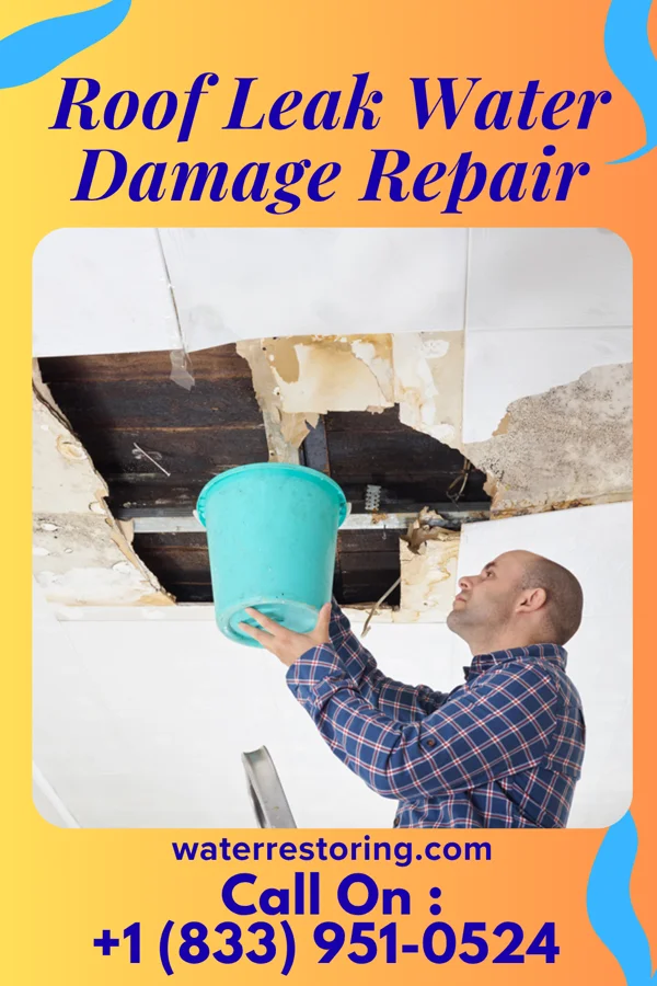 Roof Leak Water Damage Repair in Star City, WV