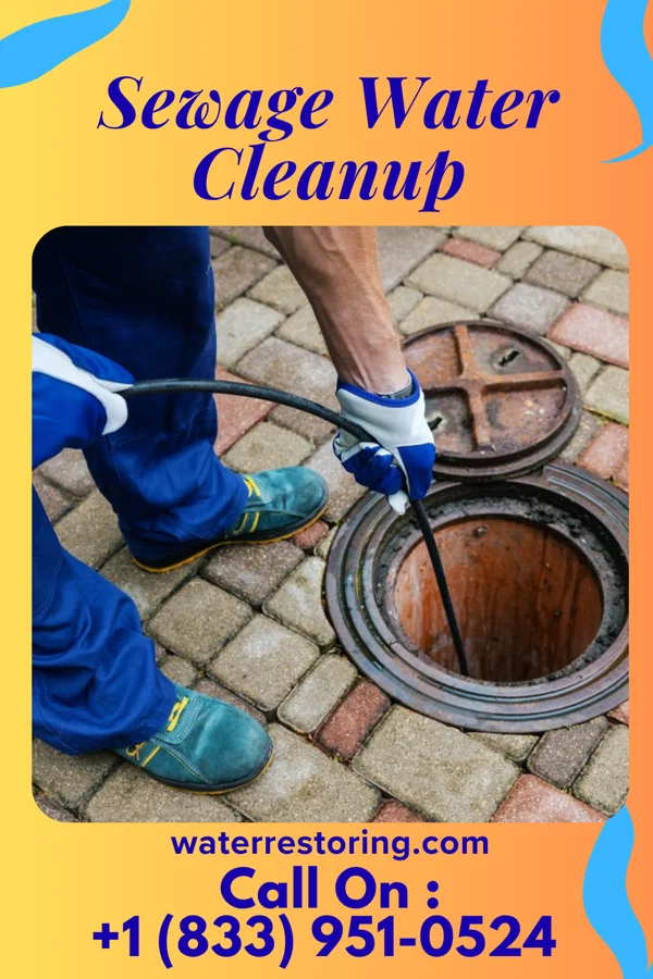 Sewage Water Cleanup in Star City, WV