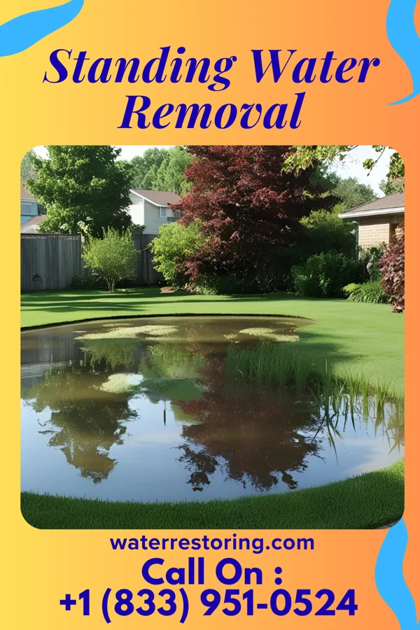 Standing Water Removal in Star City, WV